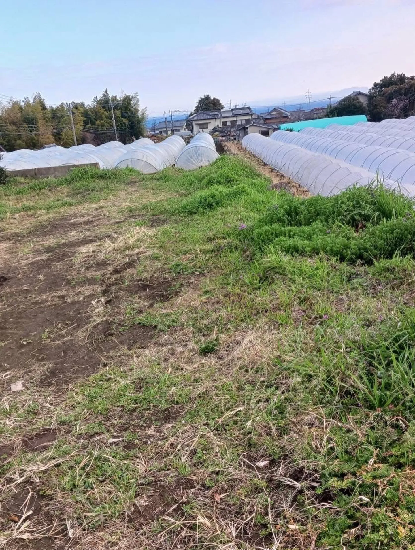 【職人が認める、職人の仕事】