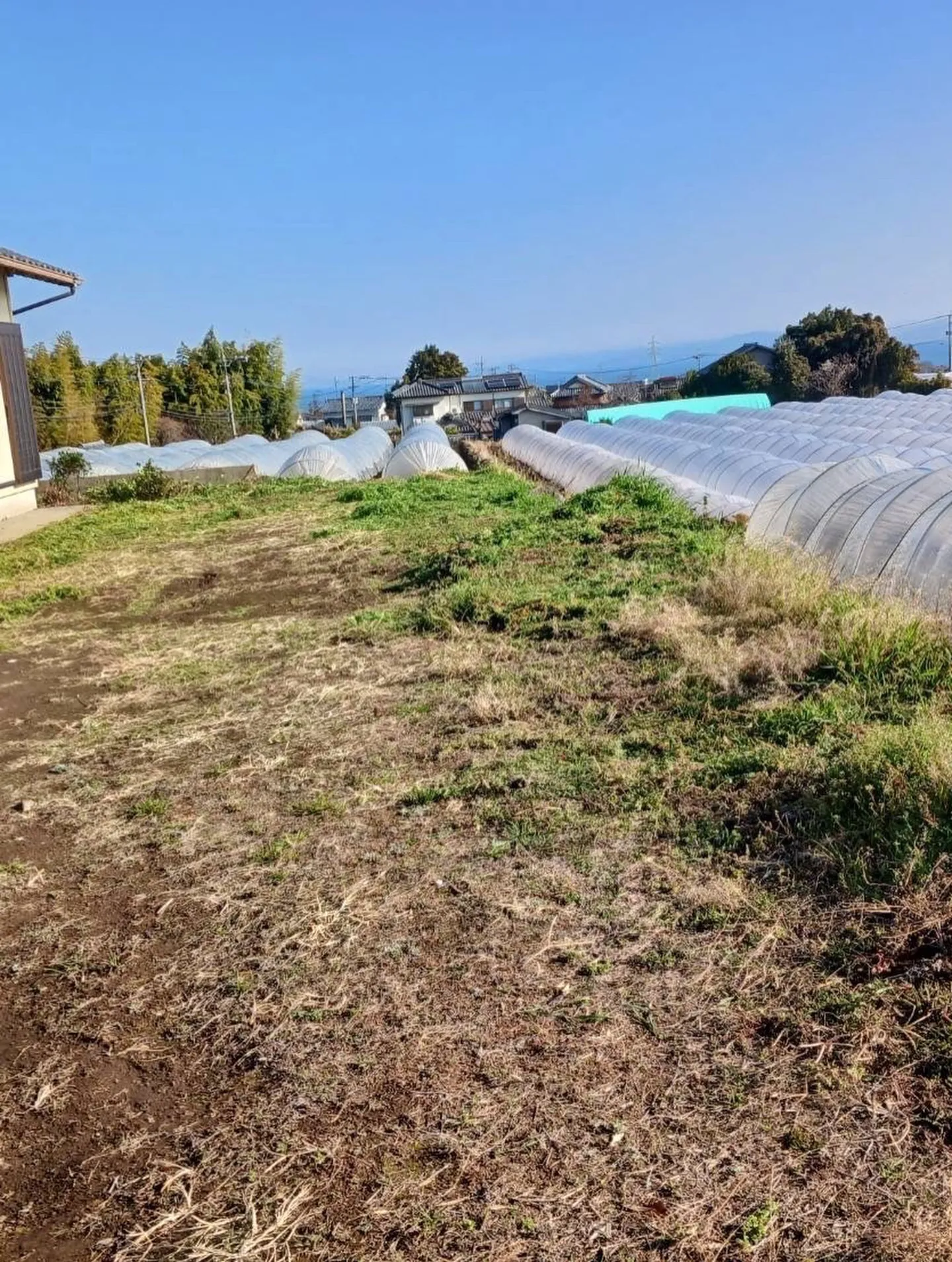 【職人が認める、職人の仕事】