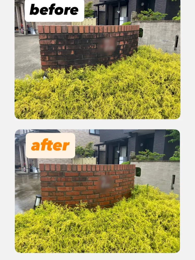 塀を洗えば、心も家もパッと明るくなる。