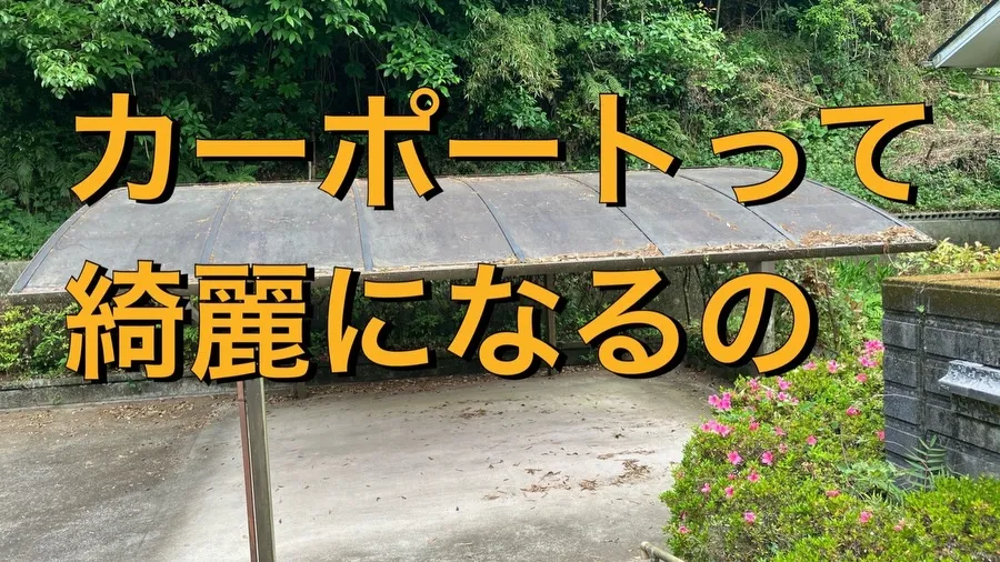 「カーポートのコケって綺麗になるの？」