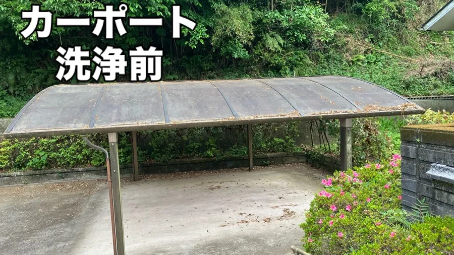 「カーポートのコケって綺麗になるの？」