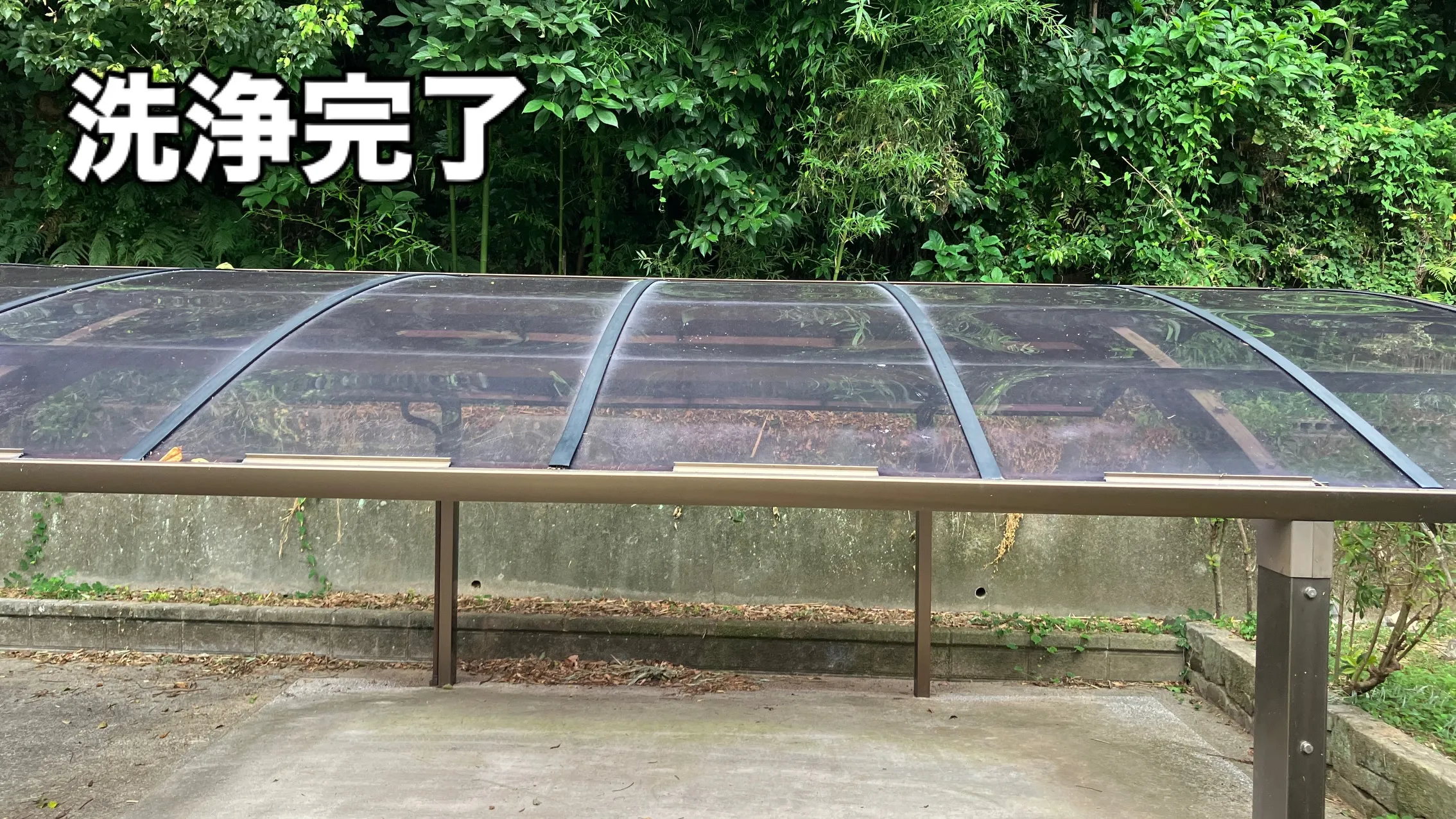 「カーポートのコケって綺麗になるの？」
