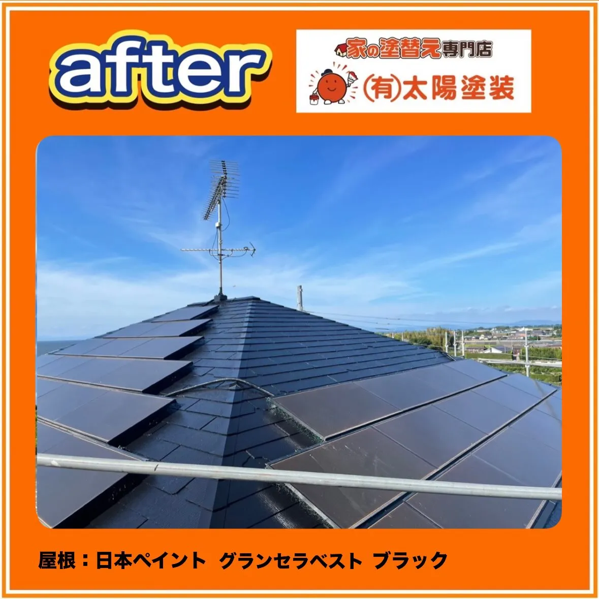 【屋根に登ってみたら鳥のフンが…】