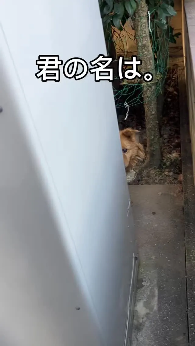 前回の塗装から1年経過しましたので点検に来ました！