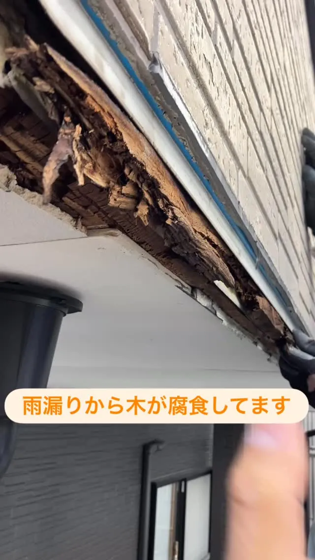 💡 塗装は「家の大修理」のチャンス！