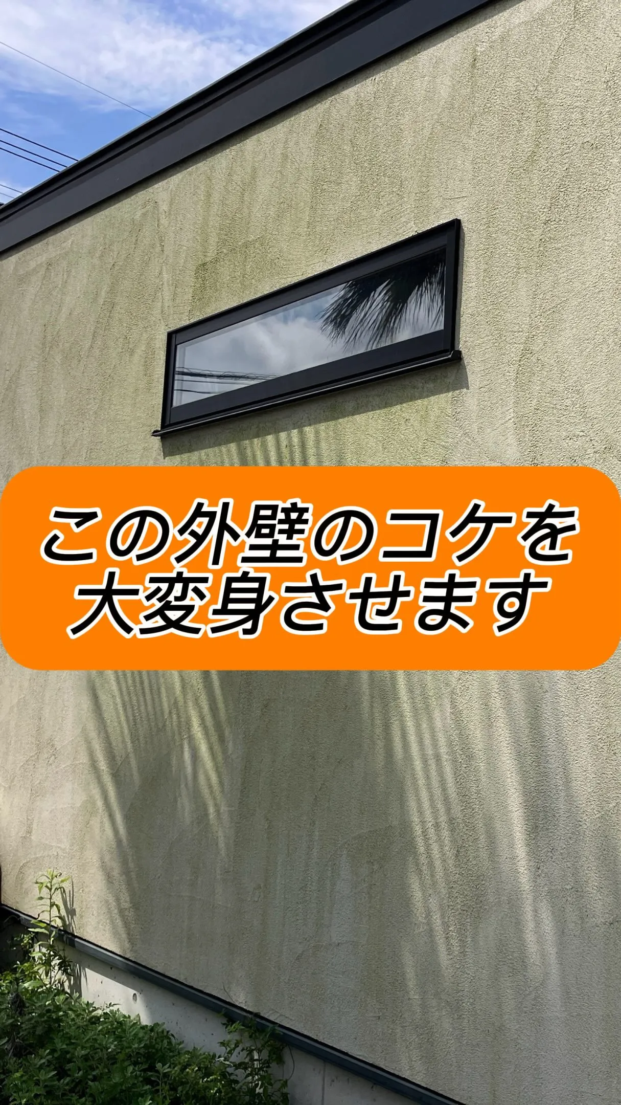 外壁のコケを綺麗にしました！